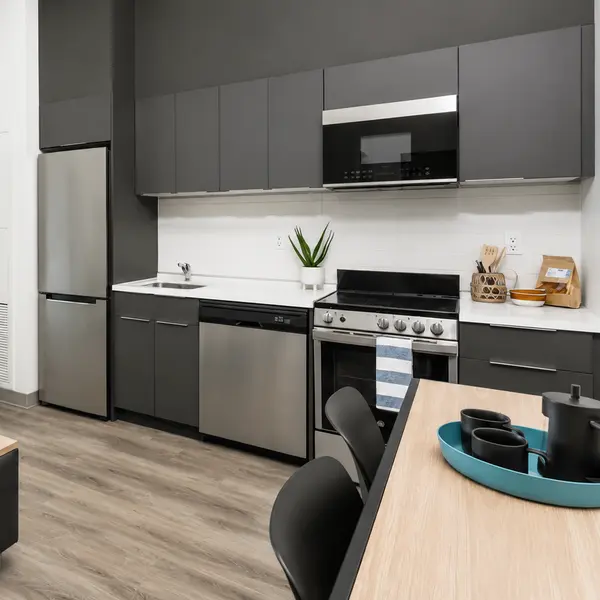 Mc Master University Bedroom Apartment 02