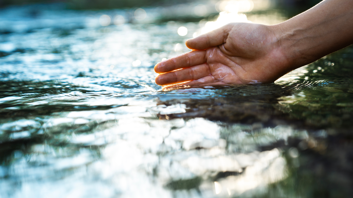 Another hand in water