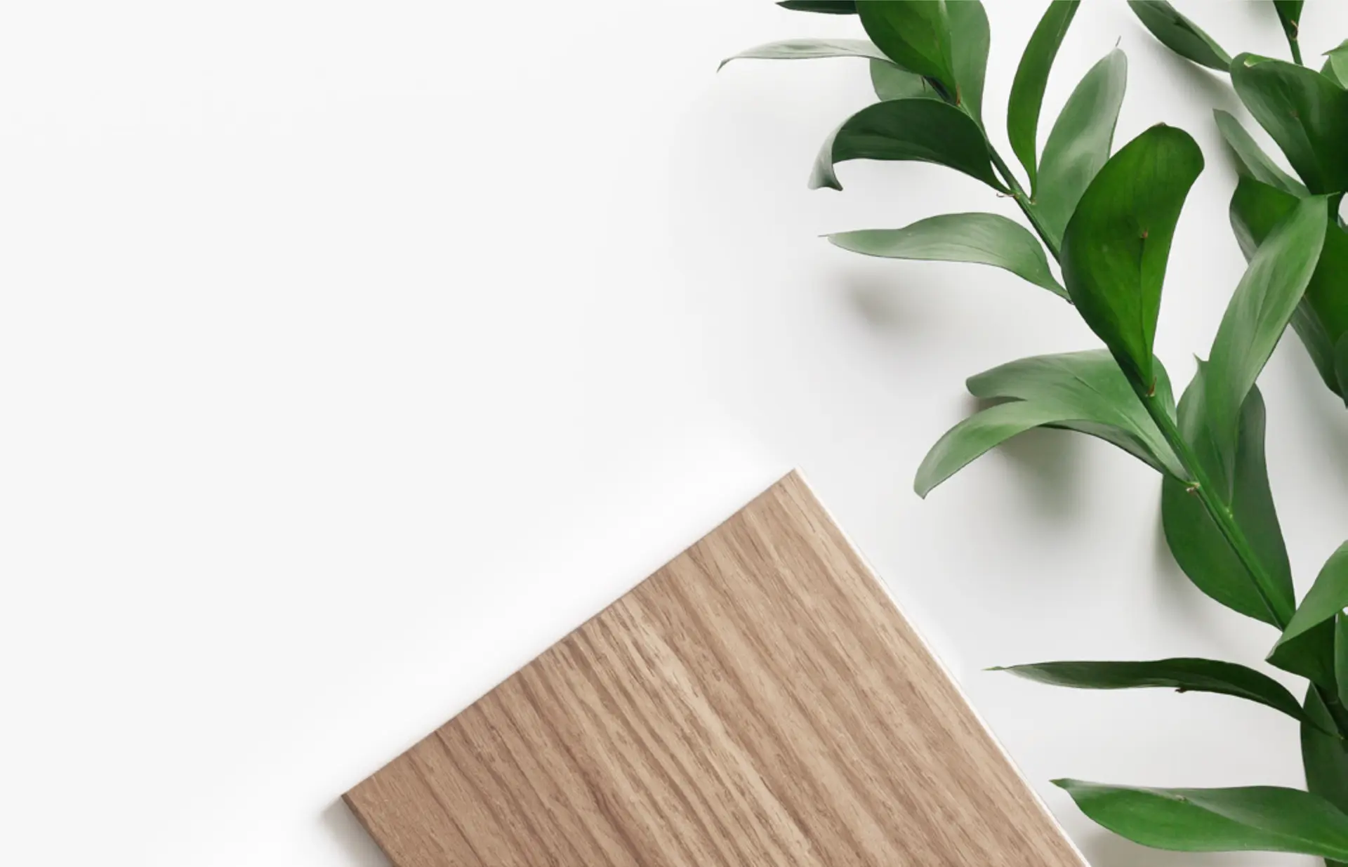 Melamine with plant
