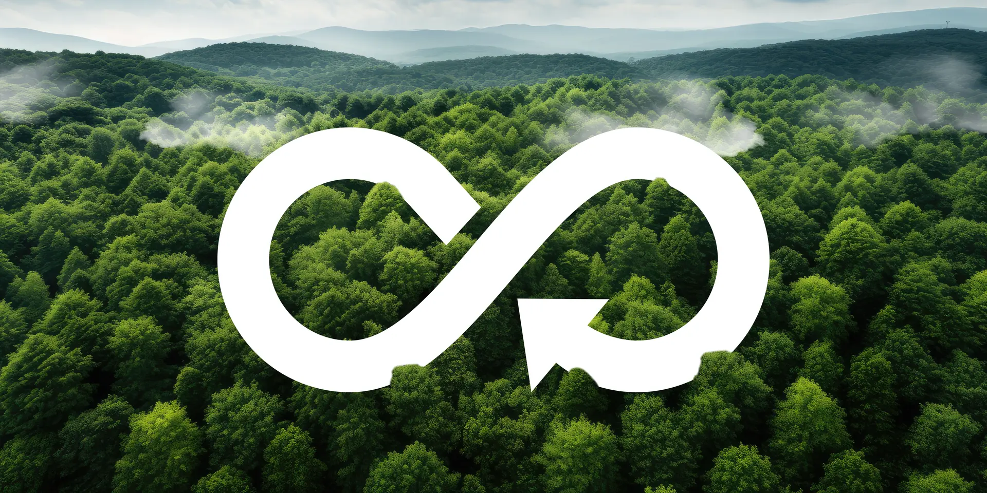 Forest Recycling Combo 1