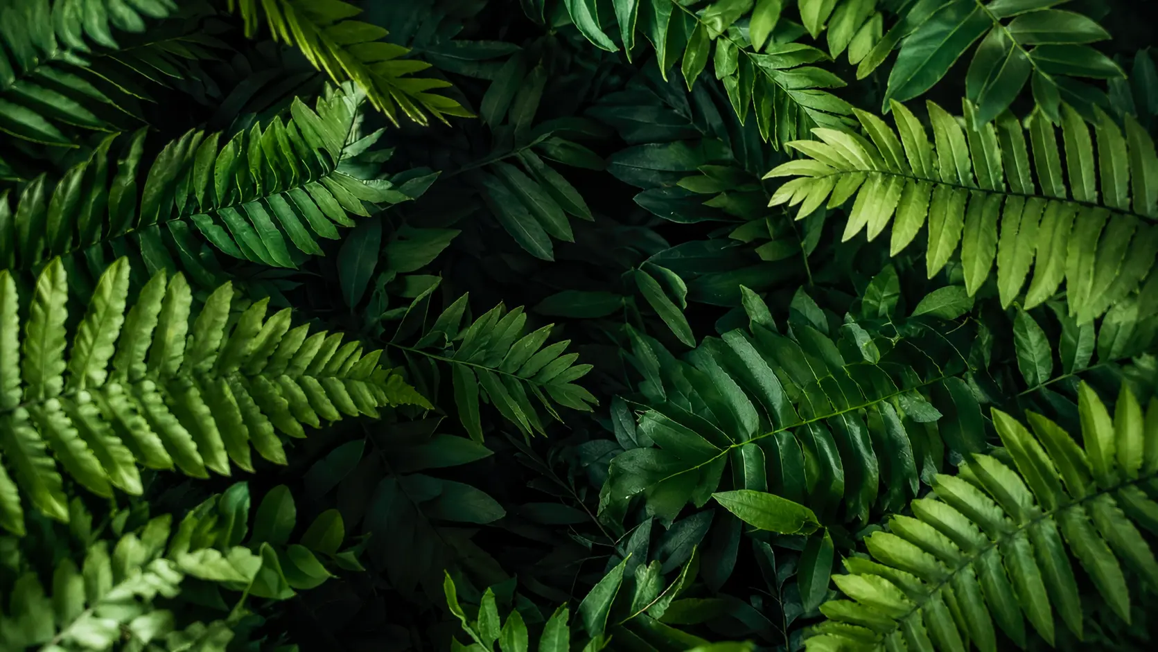 Foliage lush